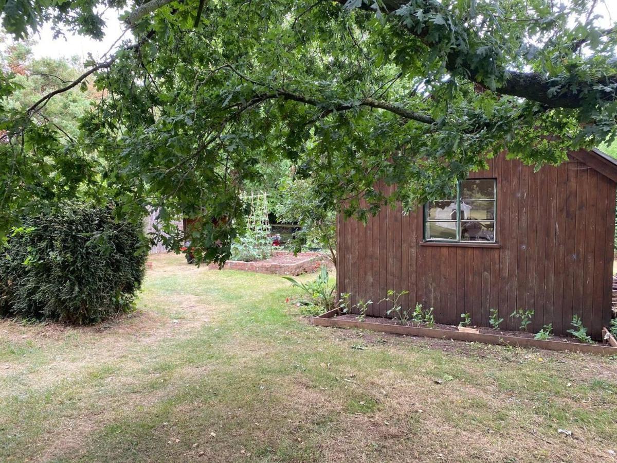 Orchard Cabin Herefordshire Wye Valley Ross-on-Wye 外观 照片